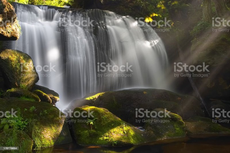 Whatcom Falls Park