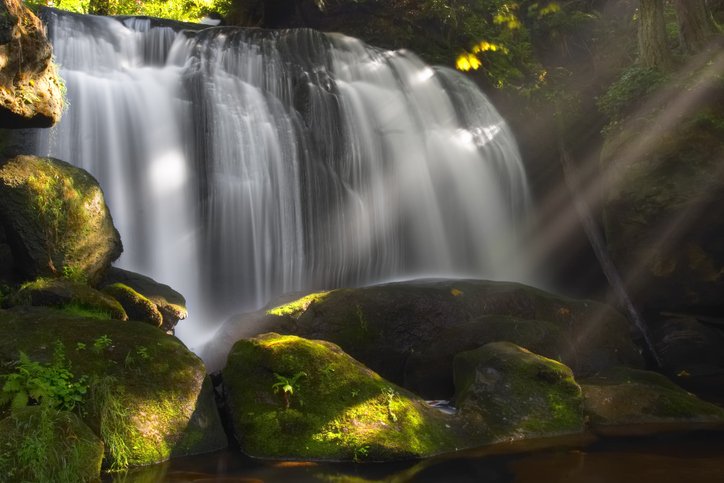 Whatcom Falls